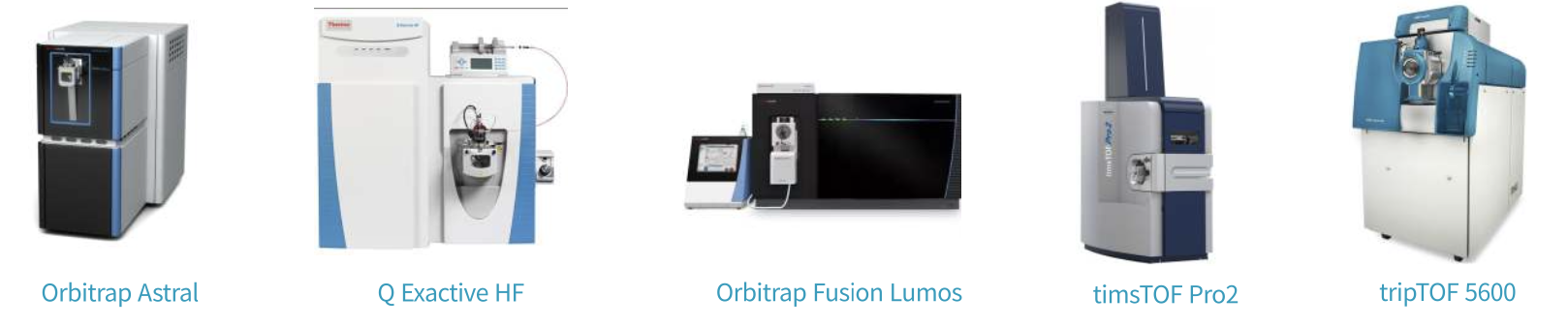 Mass Hub 高分辨质谱梯队:Orbitrap Astral、Q Exactive HF、Orbitrap Fusion Lumos、timsTOF Pro2、TripleTOF 5600